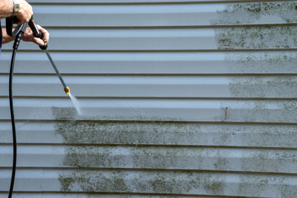 Affordable Siding Repair and Maintenance Services in Orchard City, CO